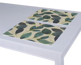 Set of 2 Placemats