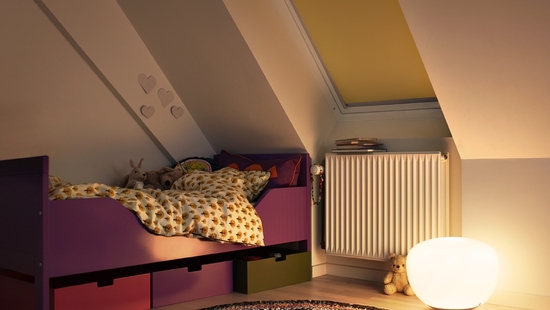 VELUX Jalousien 100% Blackout