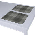 Set of 2 Placemats