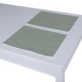 Set of 2 Placemats