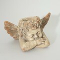 Doniczka Angel und 41x26x26 cm