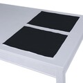 Set of 2 Placemats